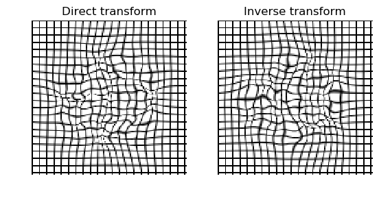 ../_images/diffeomorphic_map_b0s.png