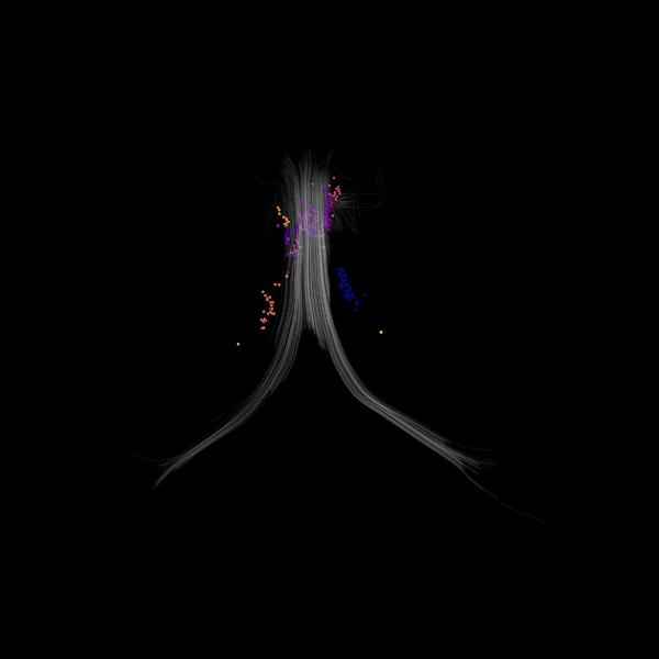 segment clustering features