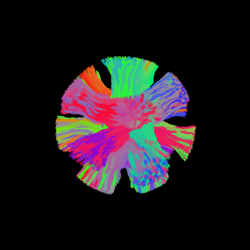 tracking disco phantom