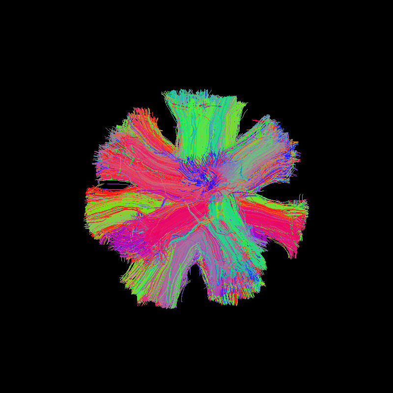 tracking disco phantom