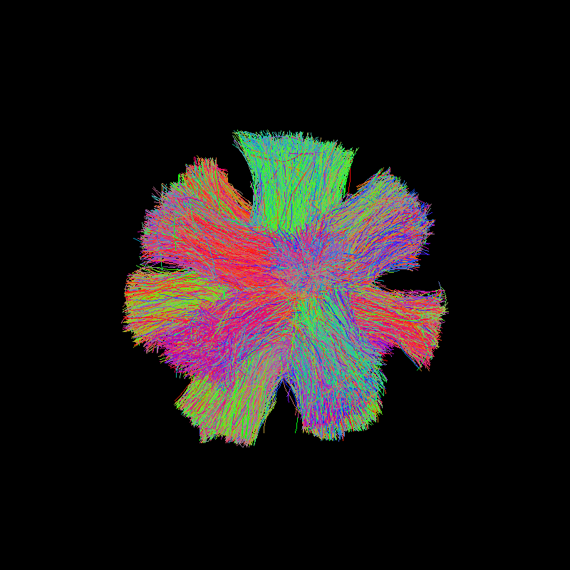 tracking disco phantom