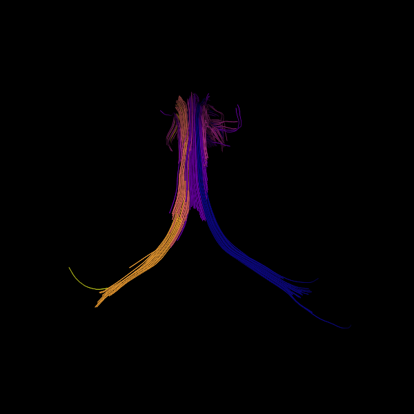 segment clustering features